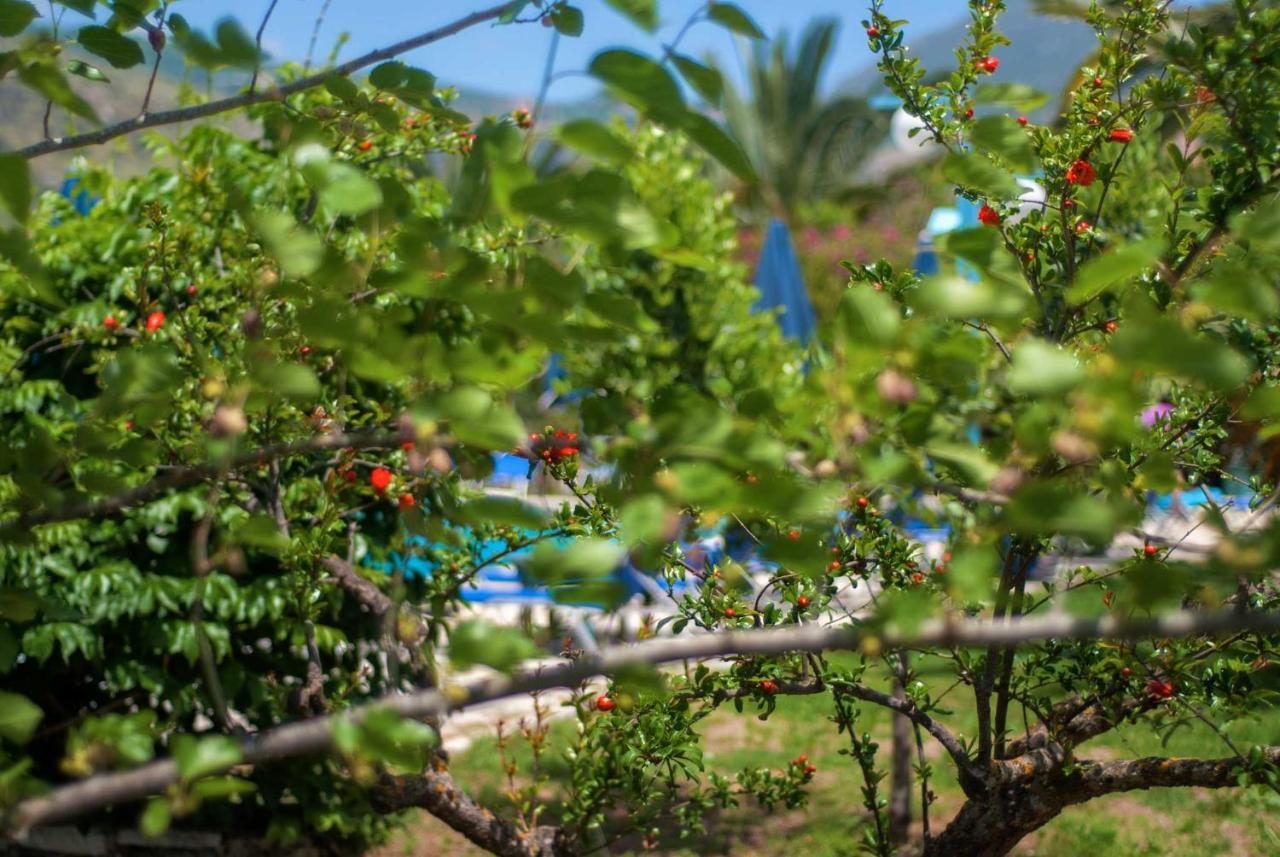 Efrosini Village Katelios Luaran gambar