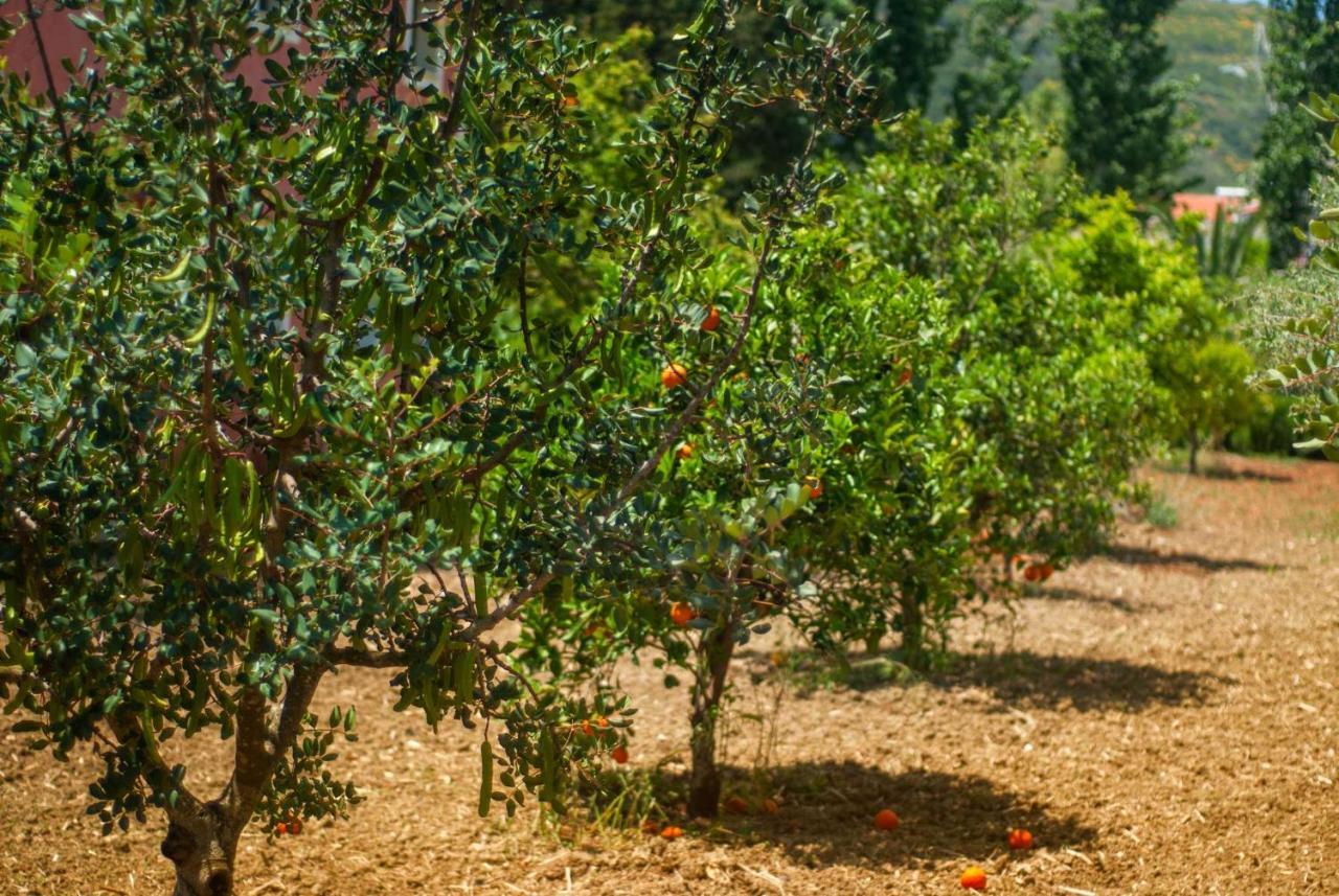 Efrosini Village Katelios Luaran gambar